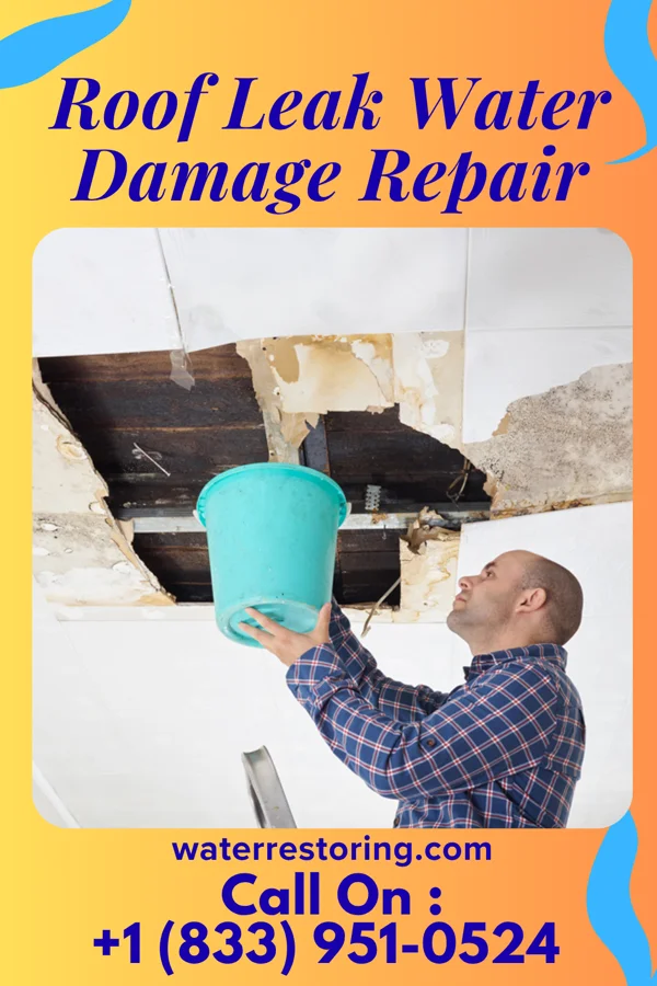 Roof Leak Water Damage Repair in Rockville, NE